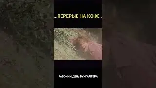 рабочий день бухгалтера 