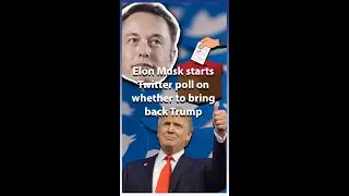 Elon Musk starts Twitter poll on whether to bring back Trump