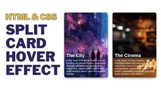 Beautiful Split Card Hover Effect | HTML & CSS Tutorial