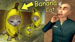 Never look At Banana Cat