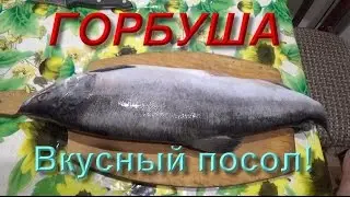 Как вкусно засолить горбушу и другую красную рыбу