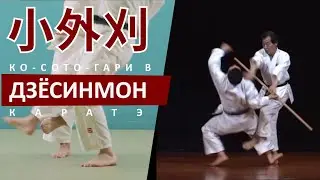 小外刈 Ко-сото-гари. Бросковая техника Дзёсинмон каратэ.