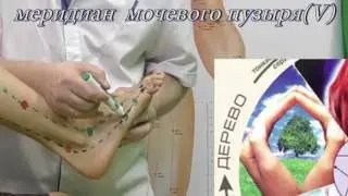 Секреты китайской медицины (68). Точка Цзин гу. Меридиан мочевого пузыря V64.
