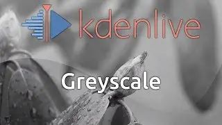 Kdenlive Greyscale  ( Black and White, With Some Effects )