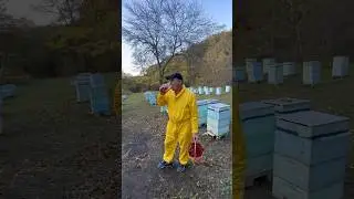 Кто  еще запасается  калиной ?  Не забудьте  про  натуральный мёд 👋