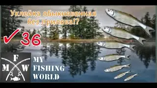 36) My Fishing World Уклейка обыкновенная без прилова!?