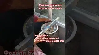 Молхона куриш 