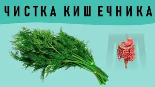 Готовим это , и ЧИСТИМ КИШЕЧНИК