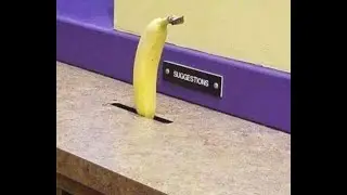 Shitpost Status v3