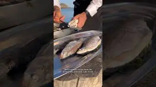 Севанский сиг от шефа ресторана «Renommée» Карена Хачатряна 🇦🇲