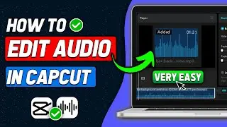 How To Edit Audio On Capcut PC (2024 New Method)