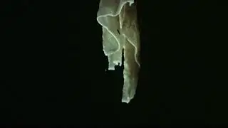 What's the difference between stalactites and stalagmites?
