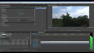 первый раз в Adobe Premiere Pro