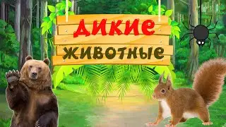 Дикие и лесные животные для детей. Учим звуки животных