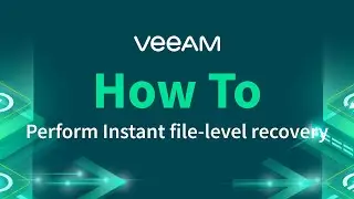 How to Perform Instant File-Level Recovery