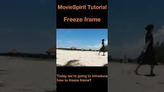 MovieSpirit Tutorials - Freeze frame