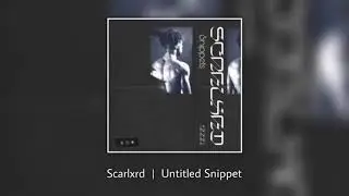 Scarlxrd | Flexible「 Snippet 」