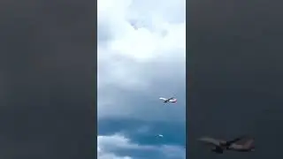 Туристы не все знают, что это за праздник 🥳 🤣