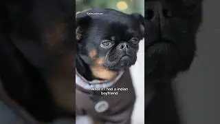 Dancing in my Office to see my dog's reaction 