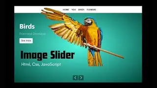 How to create an Image Slider in HTML CSS and JavaScript Step by Step | Creative JS Coder.