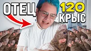 Пятёрка Стал Отцом 120 Крыс (до слёз😭) w/ Както, Заквиель, T2x2, Фиспект