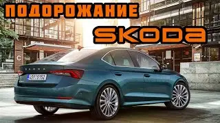 Цены на Skoda. Июнь 2021, шок да и только.