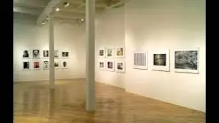 Photography Galleries