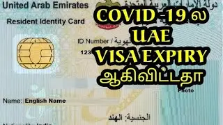 Dubai ( UAE ) Visa's expired now |visit visa renewal|visa news in dubai|UAE Visa on corona|Tamil #23