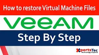 How to restore Virtual Machine (VM) Files using Veeam Step by Step