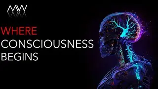 Who (or what) Possesses Consciousness? From Koko to AI