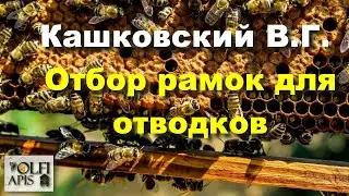 #Кашковский
