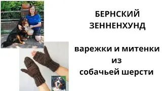 БЕРНСКИЙ ЗЕННЕНХУНД // варежки и митенки из собачьей шерсти