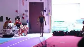 Alison Thomas Vault Winner's Invite 2017 Wildfire Gymnast Level 5