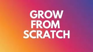 How to grow an Instagram account from scratch | Tips to grow on Instagram