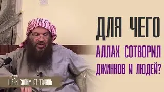 Шейх Салим ат Тауиль. Для чего Аллах сотворил джиннов и людей?