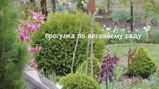 Ранняя весна в саду