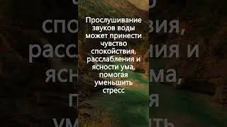 Звуки Воды и Леса: Природная Амбиенция и Пение Птиц для Расслабления, Звуки Природы, Успокаивающий