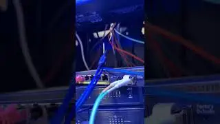 Replacing some fiber 10GB! 