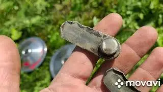 Как победить борщевик..