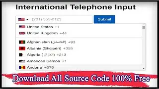 International Telephone Input With Flags and Dial Codes | Telephone Input | Code Hunter