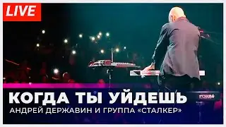 Андрей Державин - Когда ты уйдешь (live Екатеринбург)