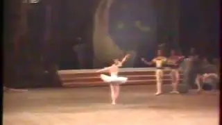 !! Irina Jelonkina Variation from "Raymonda". Perfectly!  Kirov-Ballet.