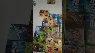 Zoomies - Board Game Preivew