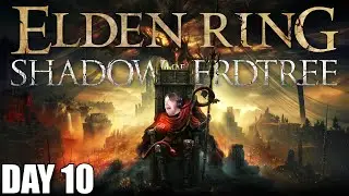 Tackling Shadow of the Erdtree With A Pure Holy Build | Elden Ring: Shadow of the Erdtree | Day 10