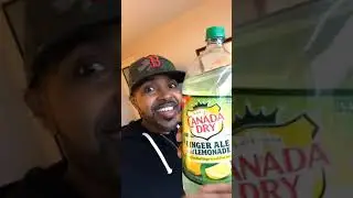 We Just Taste It - Canada Dry Ginger Ale And Lemonade