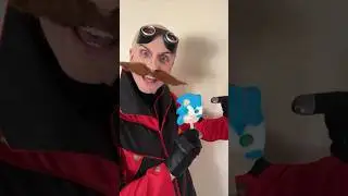Hunting the Hedgehog - Sonic the Hedgehog 