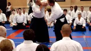 Yamada Sensei Ushiro Tekubitori Nikyo