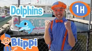 Boats and Sea Animals for Kids With Blippi | 1 Hour of Blippi | Educational Videos for Kids