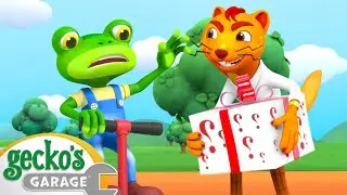 Mysterious Bouncy Box | Animals for Kids | Animal Cartoons | Funny Cartoons | Learn about Animals