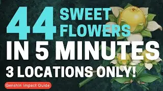 44 Sweet Flowers in 5 Minutes Farming Route | Genshin Impact